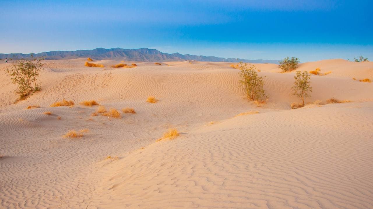 Aventura en el Desierto Coahuilense: Experiencias Únicas en Torreón