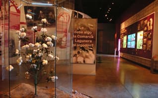 Museo del algodón